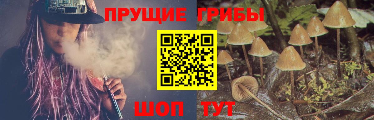 Галлюциногенные грибы мицелий  Галлюциногенные грибы ЛСД  Каменск-Шахтинский  Вход с VPN 